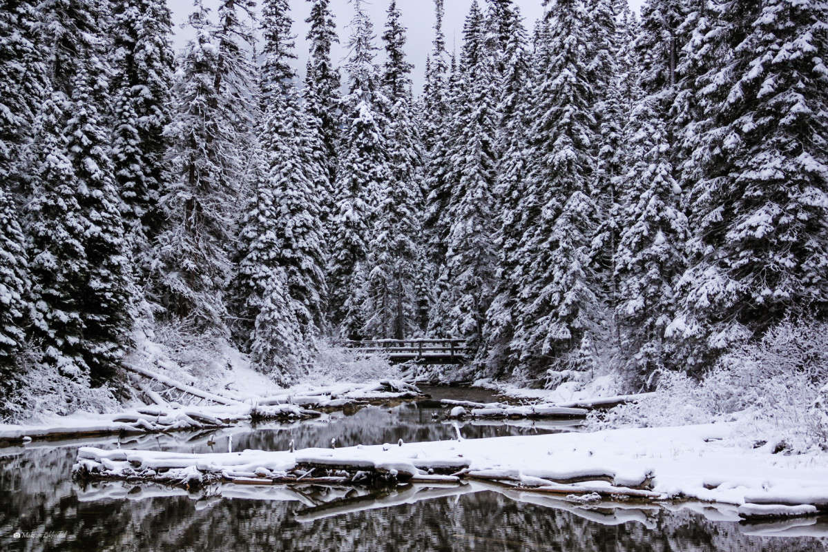 Canada, Emerald Lake ����� ������ ������� �� PhotoGeek.ru #������ ��� �������