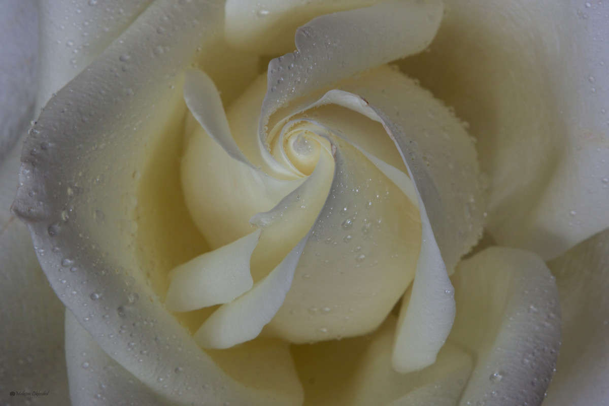 ����� ���� ����� ������ ������� �� PhotoGeek.ru #�����