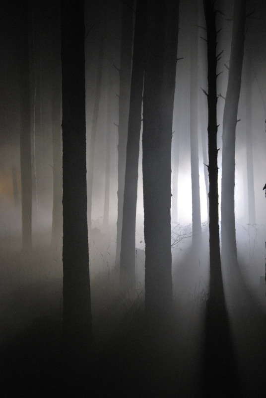 �������� ������� ���� ����� ����  �� PhotoGeek.ru #������ ��� �������