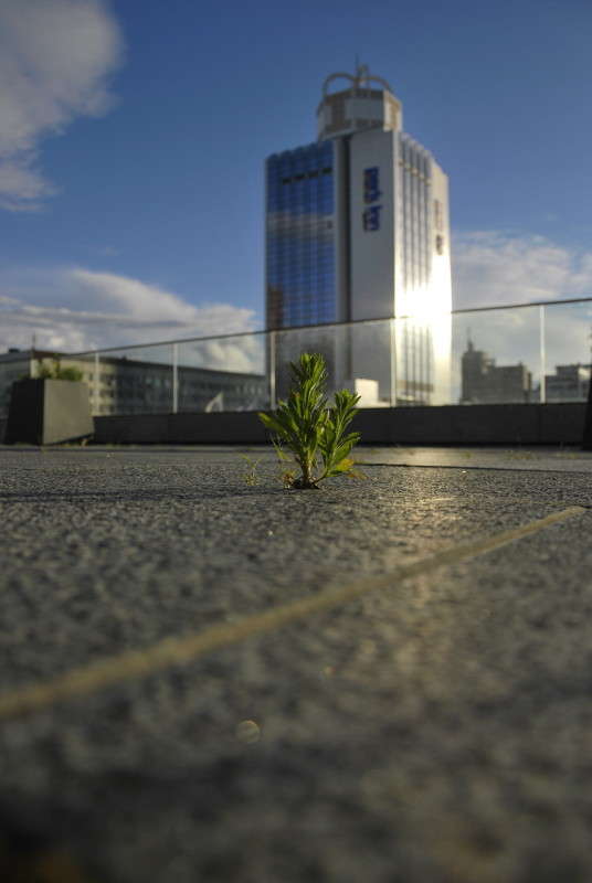 ����� ���������� ����� ����� ������� ������ ����� ����  �� PhotoGeek.ru #�����