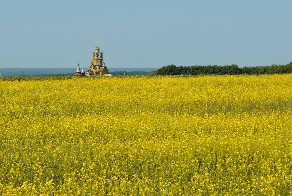 �� ���� ��������� ������ ����� ����  �� PhotoGeek.ru #������ ��� �������