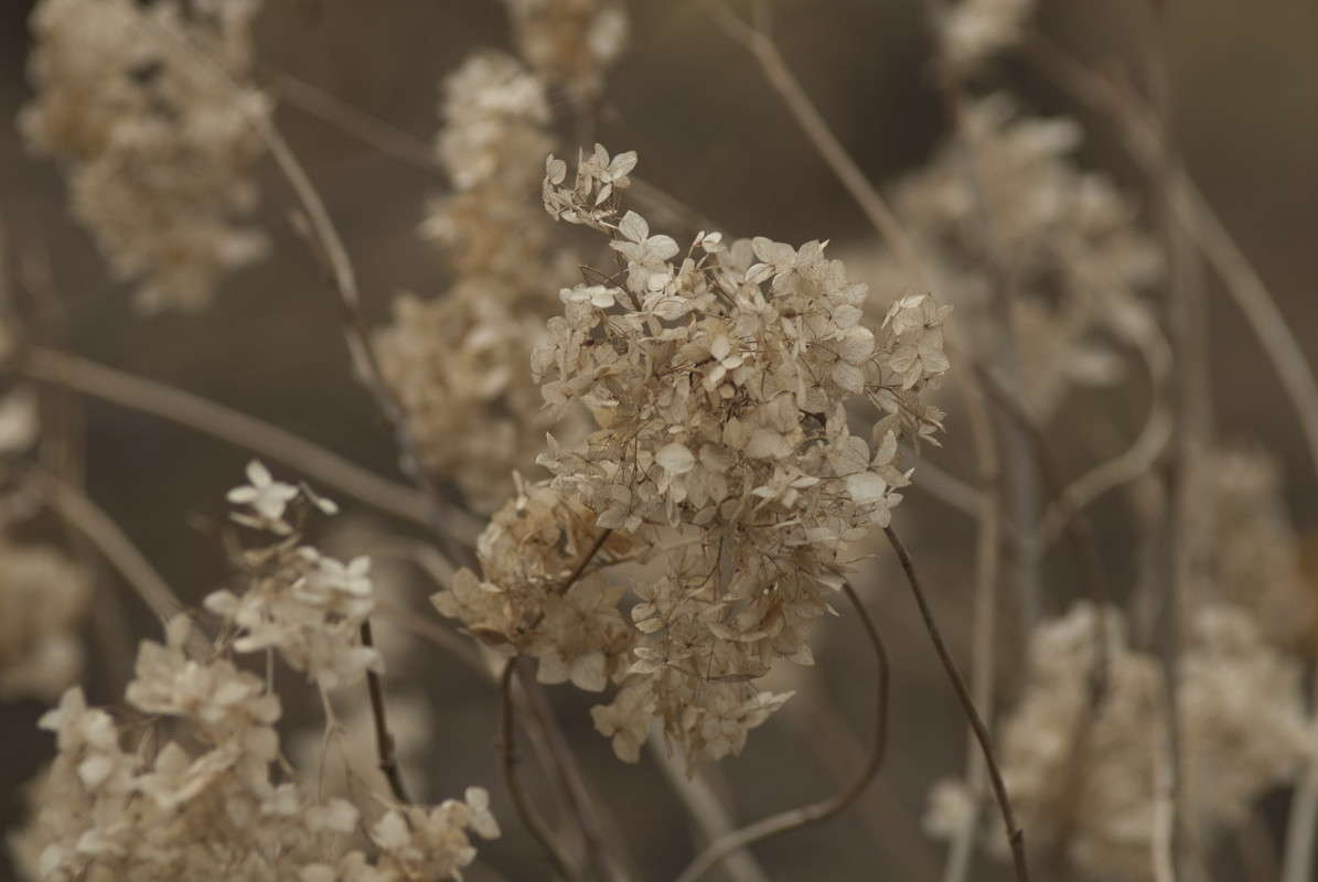 ������ ������� ������� ����� ����  �� PhotoGeek.ru #����� #������ ��� �������