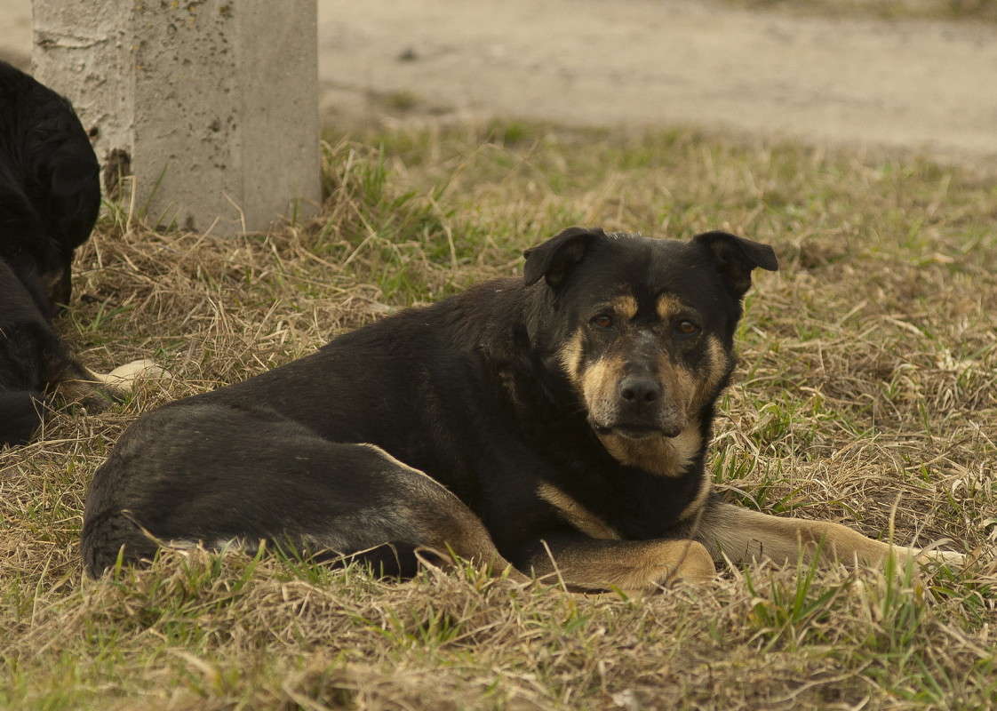 ������ ����� ����  �� PhotoGeek.ru #�������� ���