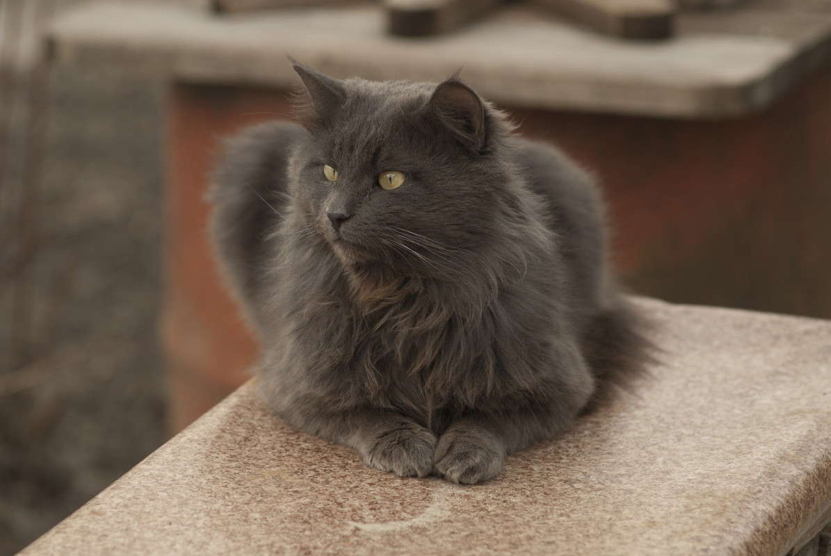 ������� ����� ������ ����� ����  �� PhotoGeek.ru #�������� ��� #�������