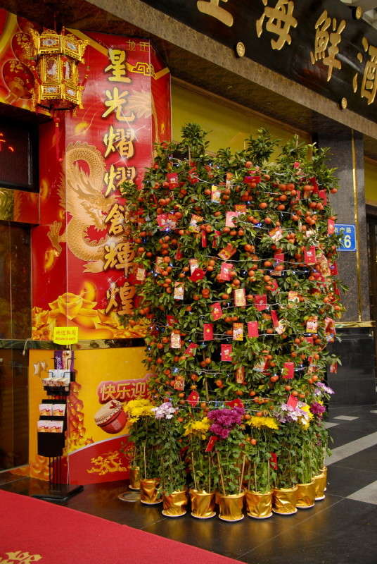 �����, ���������� ������ ����� ����  �� PhotoGeek.ru #����� #����������� #������ ���� #��������� ������