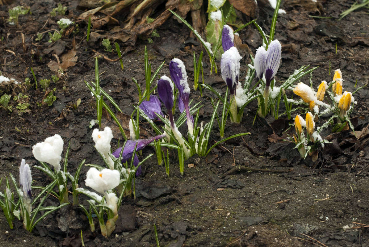 ������� � �������� ���� ����� ����  �� PhotoGeek.ru #������ ��� ������� #����� �������������� #����� ��������