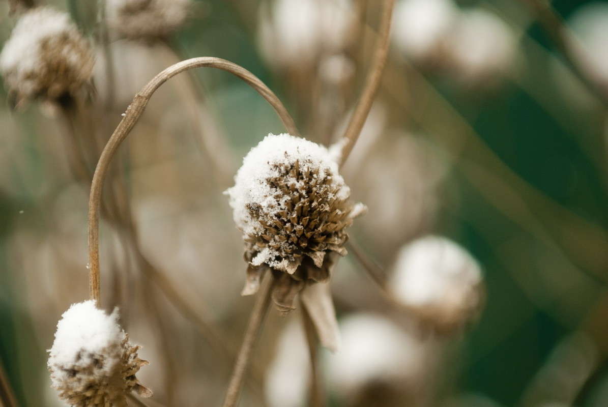 ����������� ������� ����� ����  �� PhotoGeek.ru #����� #����� ��������������