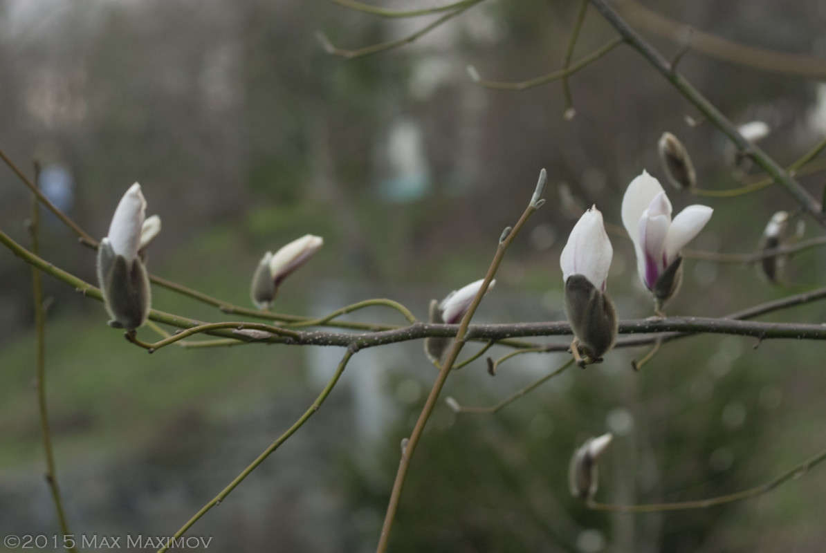 ����� � �������. �������� 2. ����� ����  �� PhotoGeek.ru #������ ��� ������� #����� ��������������