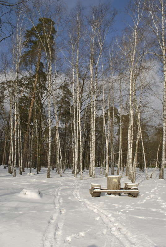 ��� �������))) ����� ����  �� PhotoGeek.ru #������ ��� �������