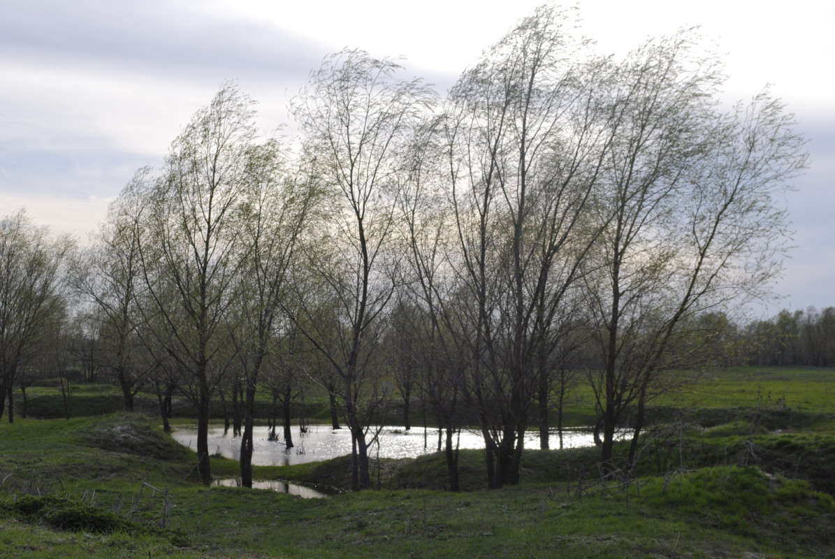 ����� ����� ����  �� PhotoGeek.ru #������ ��� �������