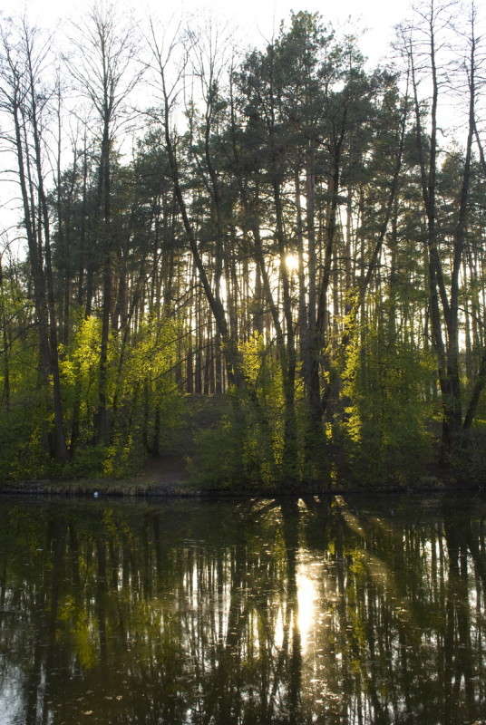 ���� �� ���� ����� ����  �� PhotoGeek.ru #������ ��� �������