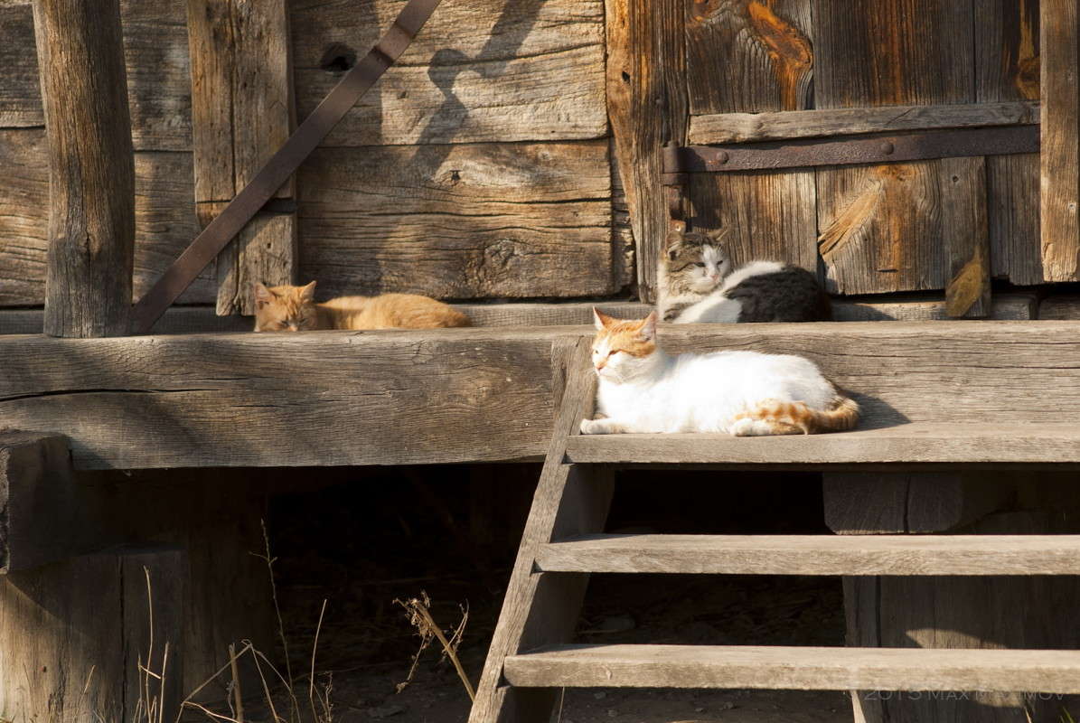 ������� �������� ����))) ����� ����  �� PhotoGeek.ru #�������� ��� #������ ��� ������� #����� ��������