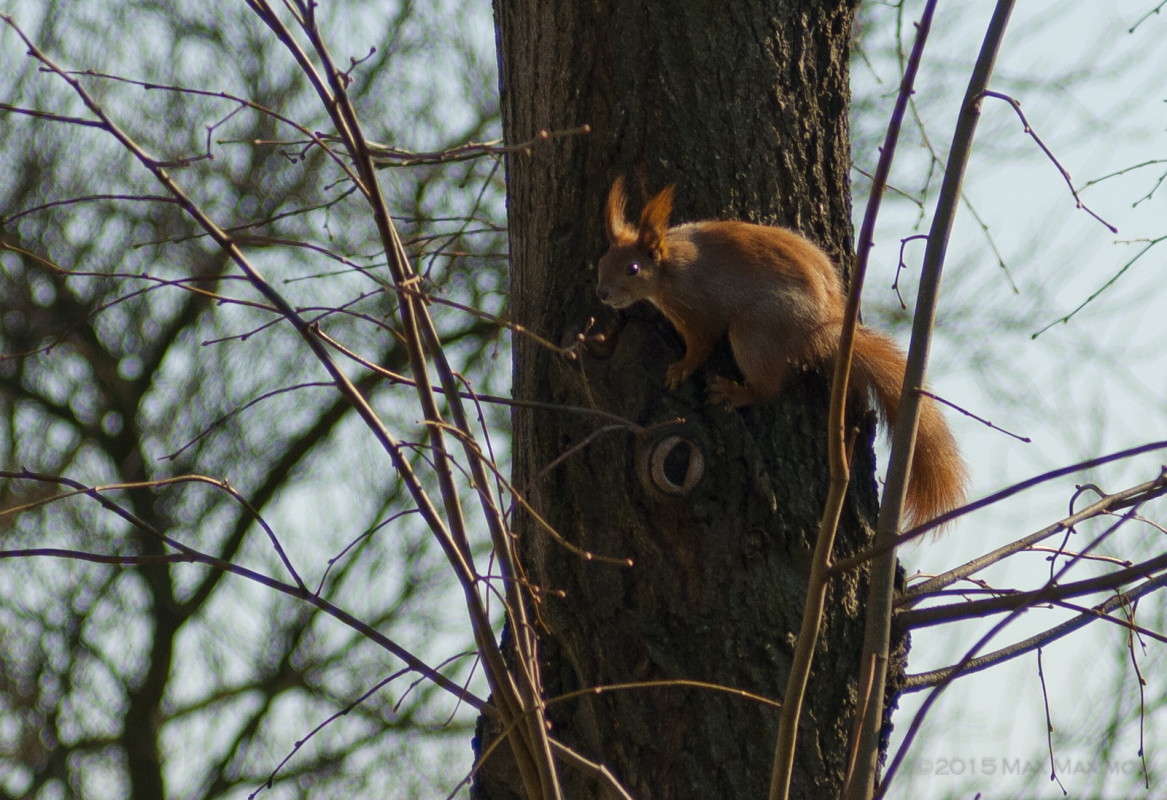 ������� ����� ����  �� PhotoGeek.ru #�������� ��� #������ ��� ������� #����� ��� ��� ��������� #����� ��������