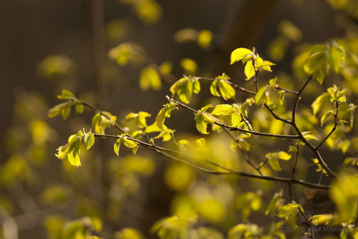 ����������� ����� ����  �� PhotoGeek.ru #������ ��� ������� #����� �������������� #����� ��������