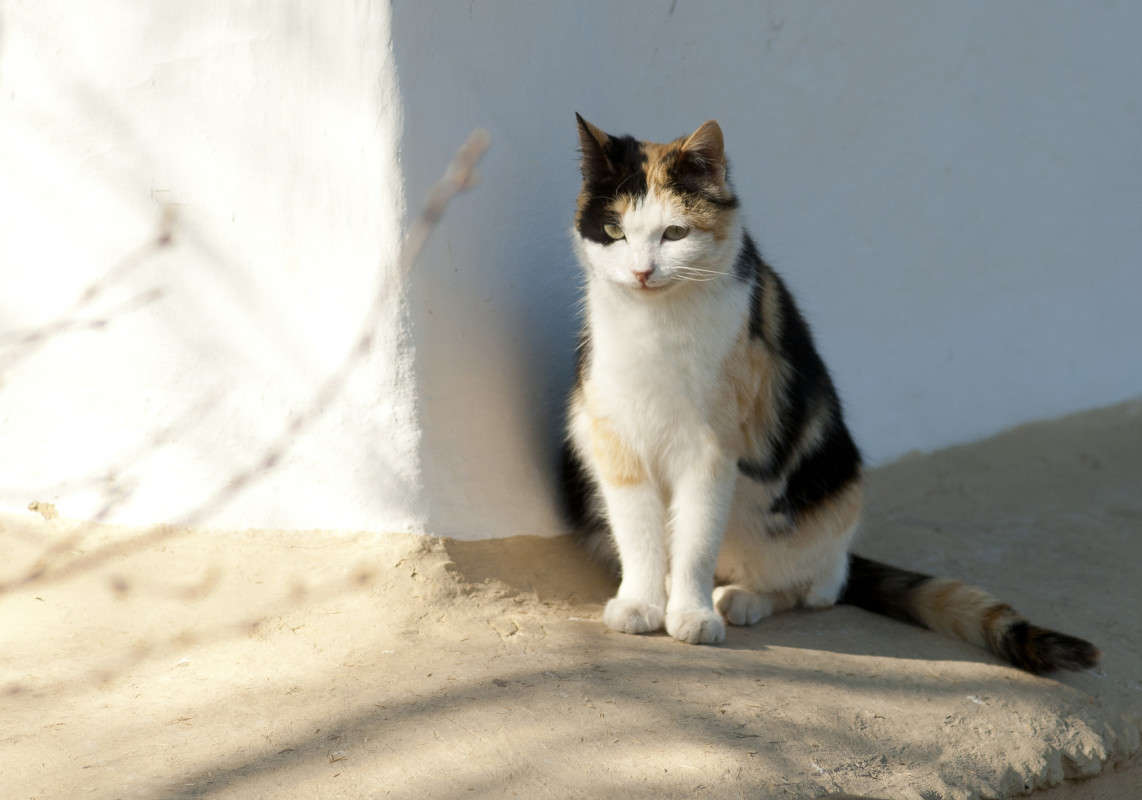 ���� ���� ����� ����  �� PhotoGeek.ru #�������� ��� #������� #������