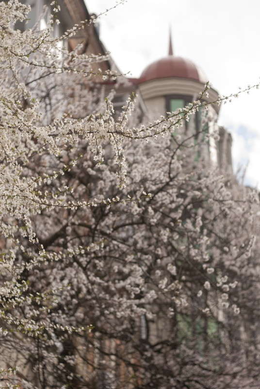 ��� ������! ����� ����  �� PhotoGeek.ru #������ ��� ������� #����� �������������� #��������� #����� ��������