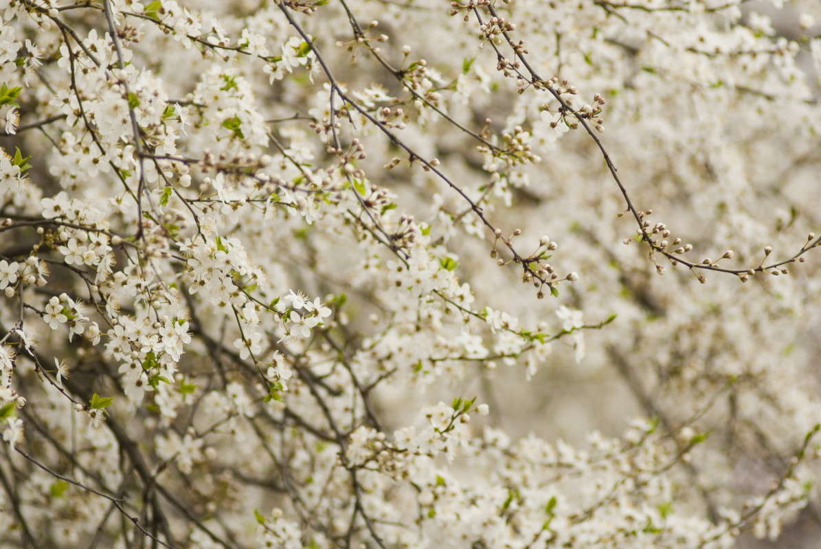 ...� ������! ����� ����  �� PhotoGeek.ru #����� #������ ��� ������� #��������� ������ #����� ��������������