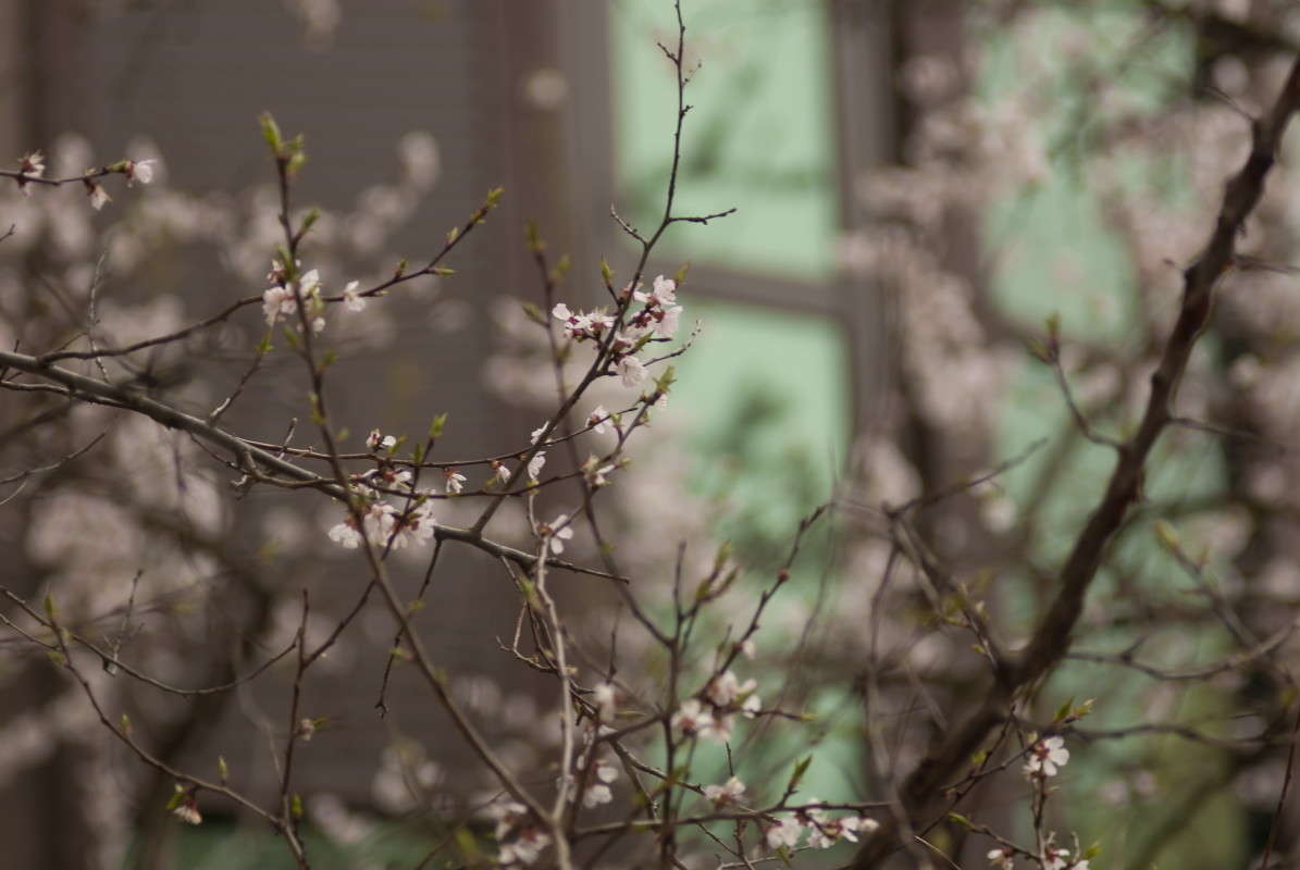 ����� ������ ����� ����  �� PhotoGeek.ru #����� #������ ��� ������� #��������� ������ #����� ��������������