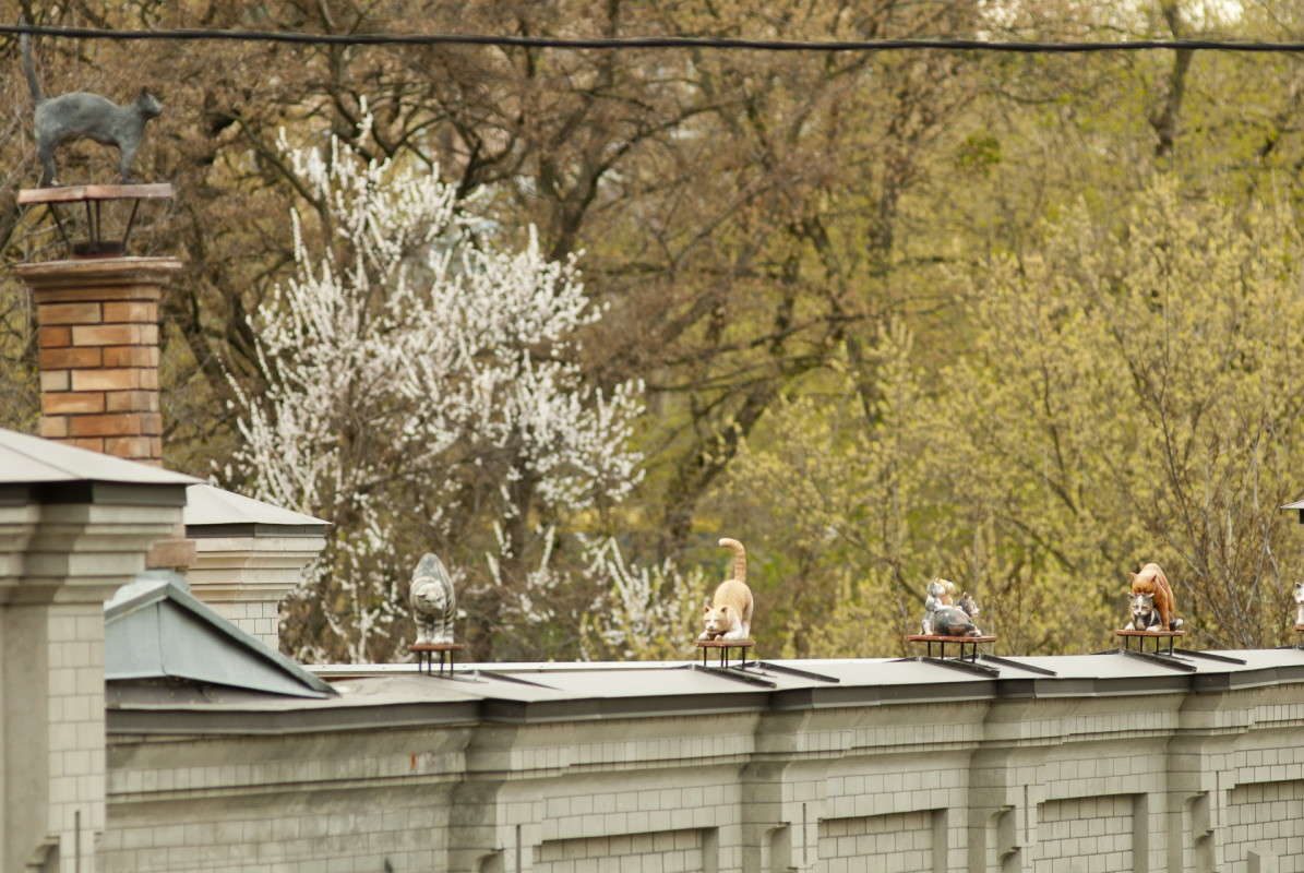 ����, ����! ���� �� �����! ����� ����  �� PhotoGeek.ru #����� #����������� #��������� ������