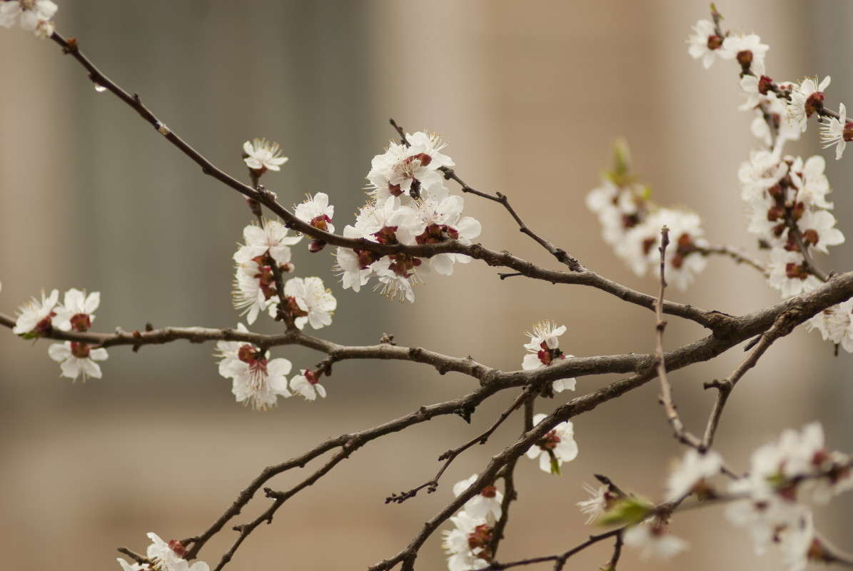 �������� �������� ����� ����  �� PhotoGeek.ru #����� #������ ��� ������� #��������� ������ #����� �������������� #���������