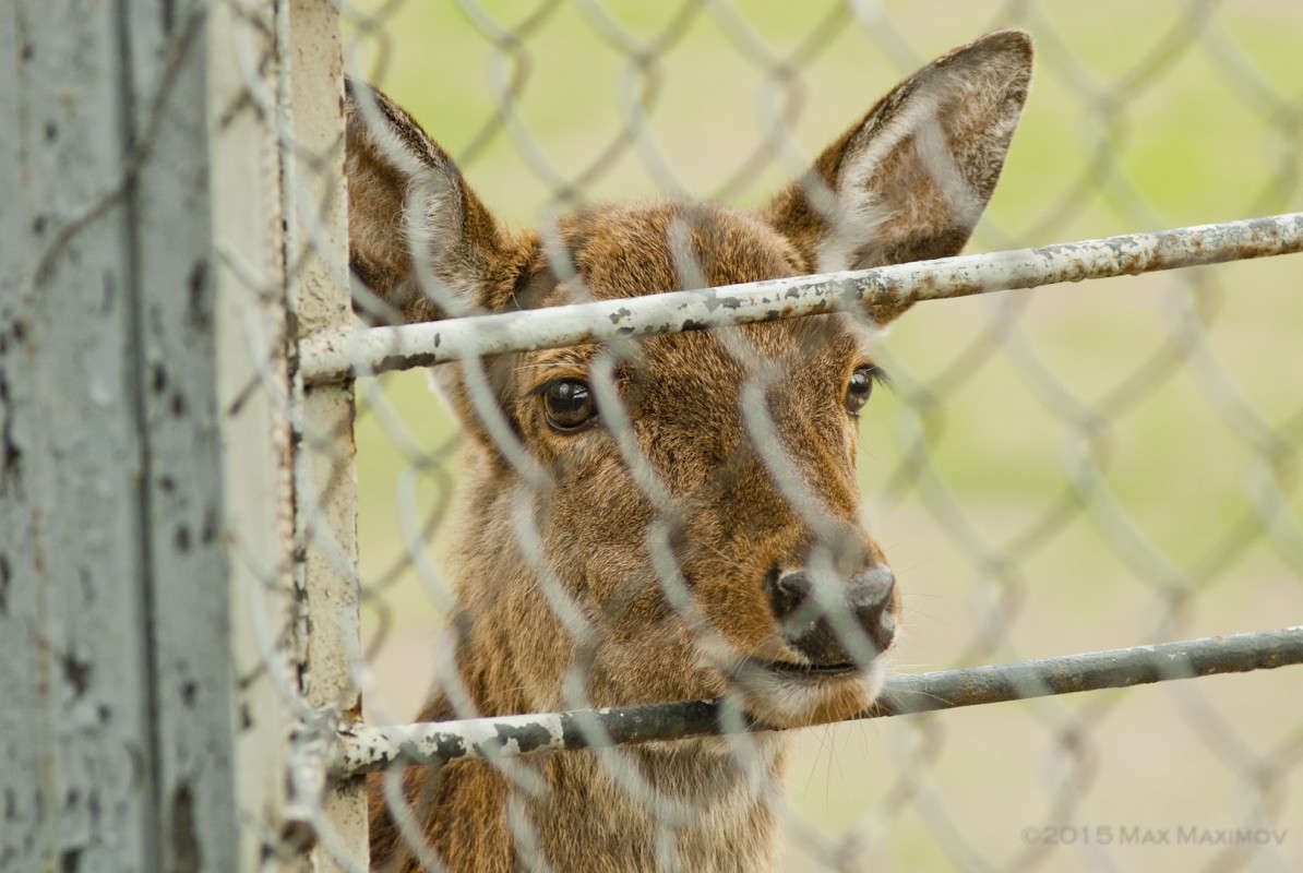 �����... ����� ����  �� PhotoGeek.ru #�������� ���