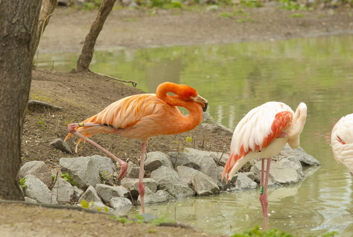 �������. ���� ������. ����� ����  �� PhotoGeek.ru #�������� ���