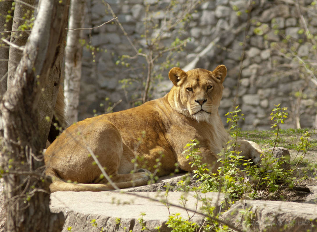 �������. ������ ������. ����� ����  �� PhotoGeek.ru #�������� ���