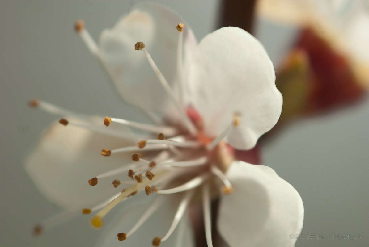 ... ����� ����  �� PhotoGeek.ru #����� #����� ��������������