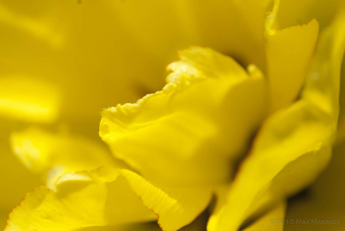 ���������� 02 ����� ����  �� PhotoGeek.ru #����� #������ ��� ������� #����� ��������������