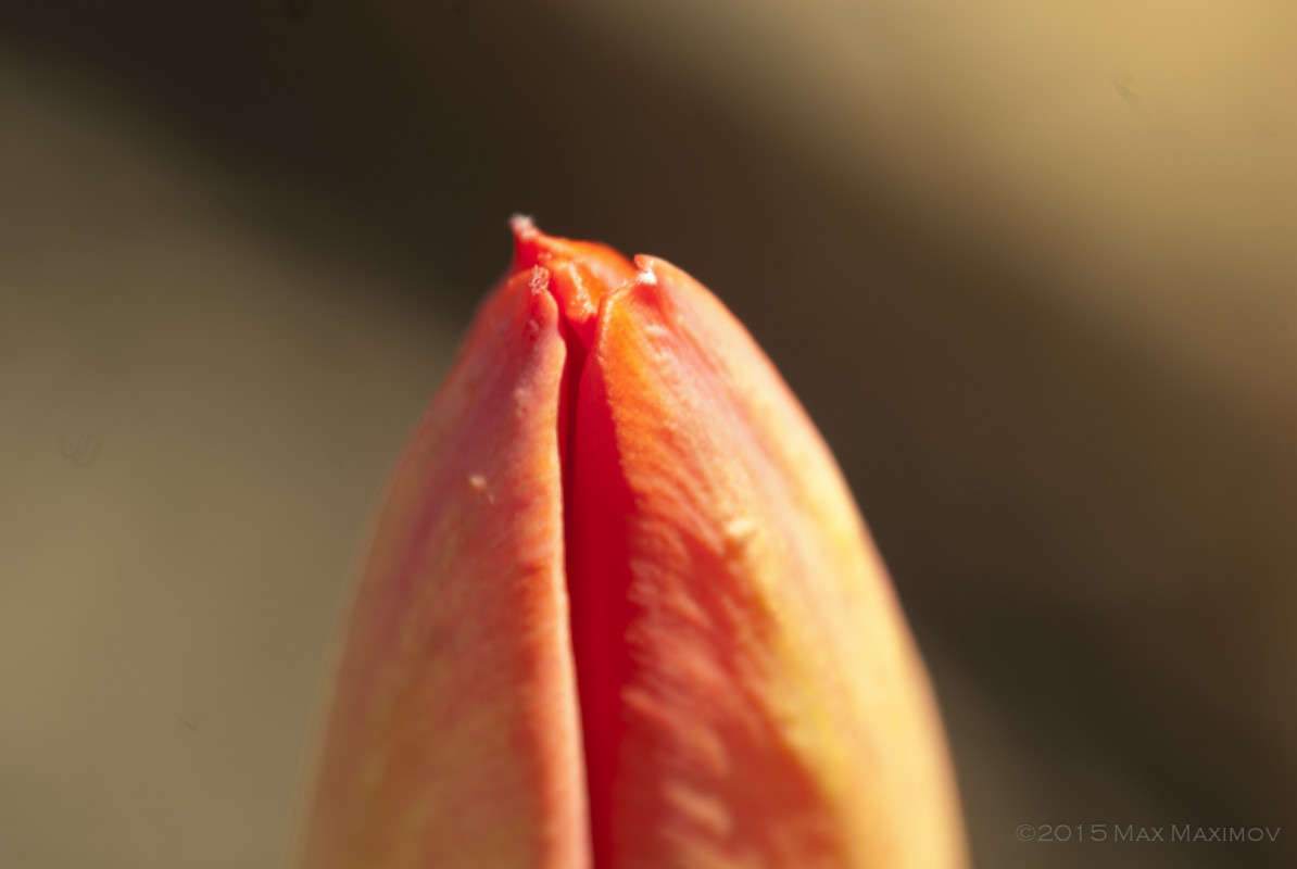 ���������� 01 ����� ����  �� PhotoGeek.ru #����� #������ ��� ������� #����� ��������������