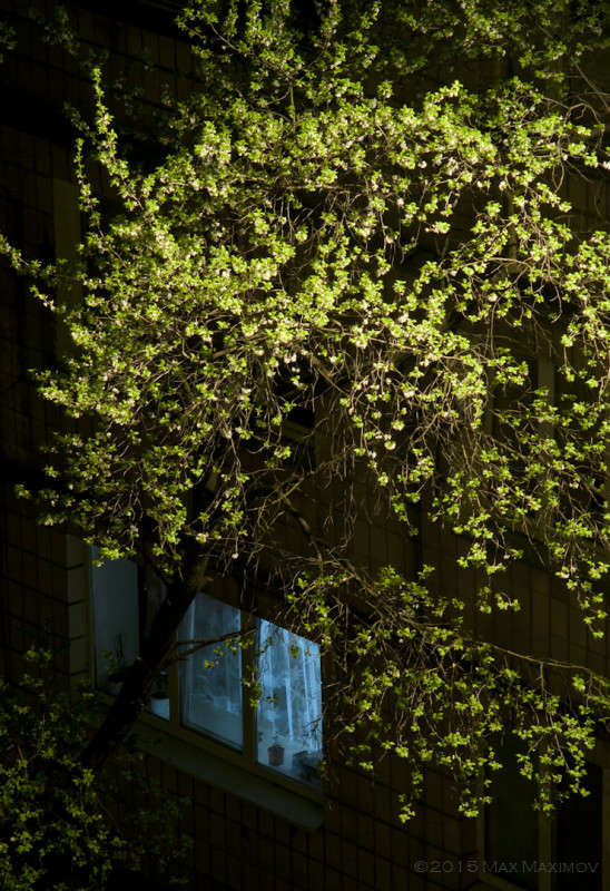 �������� 03 ����� ����  �� PhotoGeek.ru #����� #������ ��� ������� #��������� ������ #����� �������������� #���������