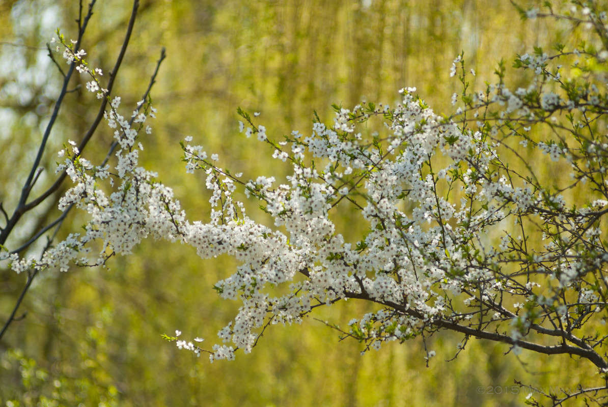 �������� 02 ����� ����  �� PhotoGeek.ru #������ ��� ������� #����� �������������� #���������