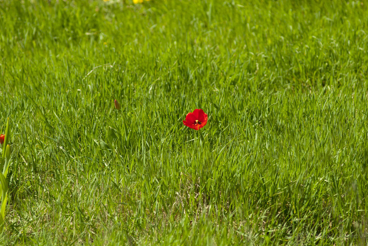 �������� 01 ����� ����  �� PhotoGeek.ru #������ ��� ������� #����� ��������������