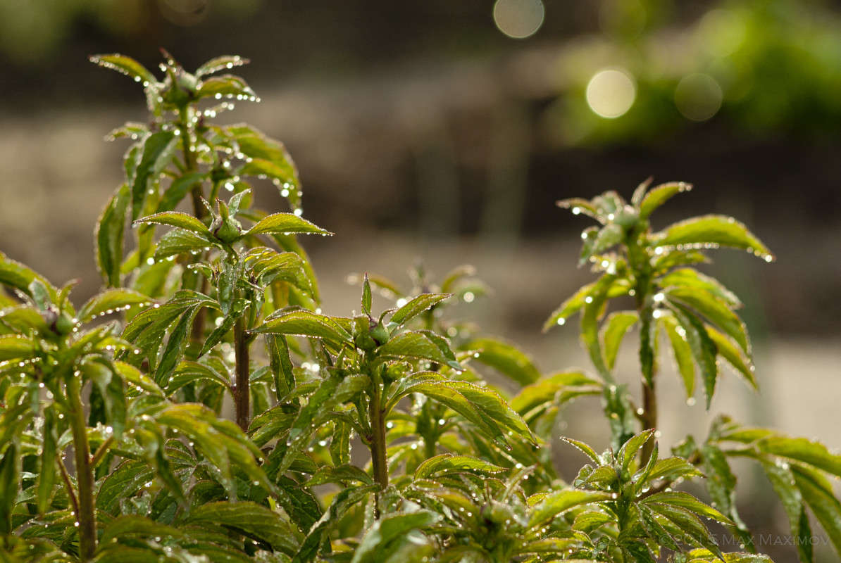 �������� ����. 001 ����� ����  �� PhotoGeek.ru #����� #������ ��� ������� #����� �������������� #���������