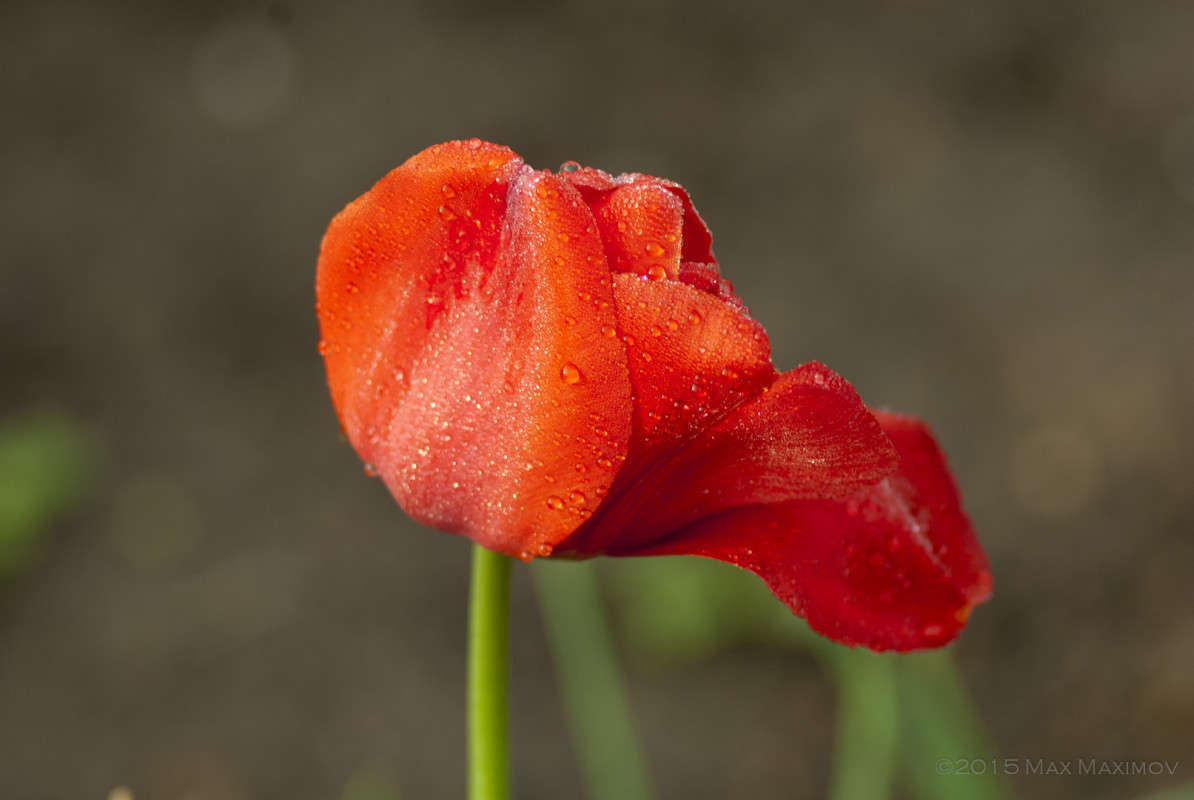 �������� ����. 002 ����� ����  �� PhotoGeek.ru #����� #������ ��� ������� #����� ��������������