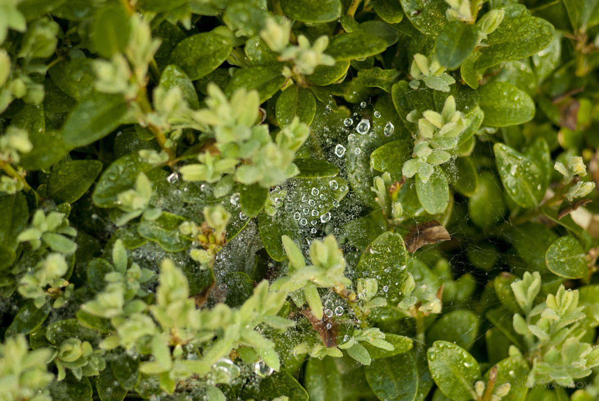 �������� ����. 004 ����� ����  �� PhotoGeek.ru #����� #������ ��� ������� #����� ��������������