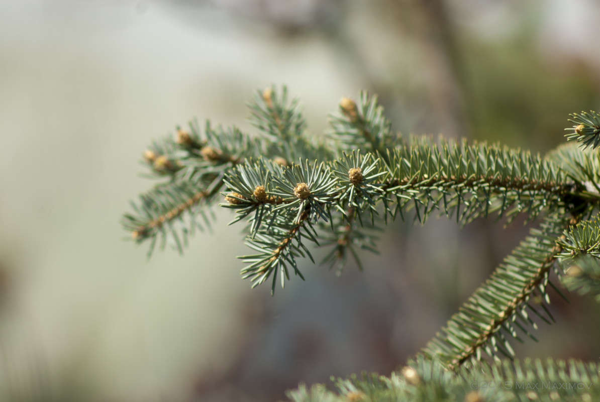 ����-����� ����� ����  �� PhotoGeek.ru #����� #������ ��� ������� #����� �������������� #���������