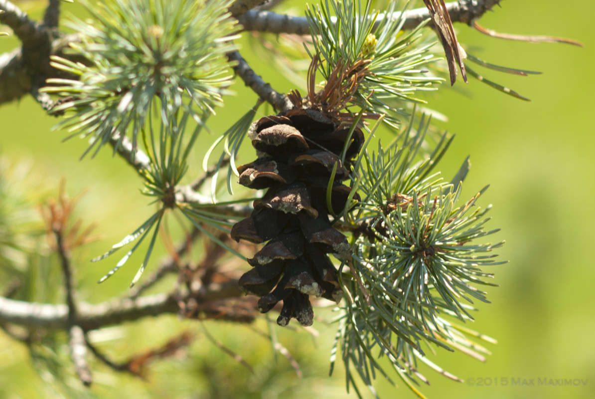 ����-����� 2.0 ����� ����  �� PhotoGeek.ru #����� #������ ��� ������� #����� �������������� #���������