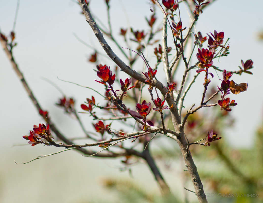 ... ����� ����  �� PhotoGeek.ru #����� #������ ��� ������� #����� �������������� #��������� #����� ��������