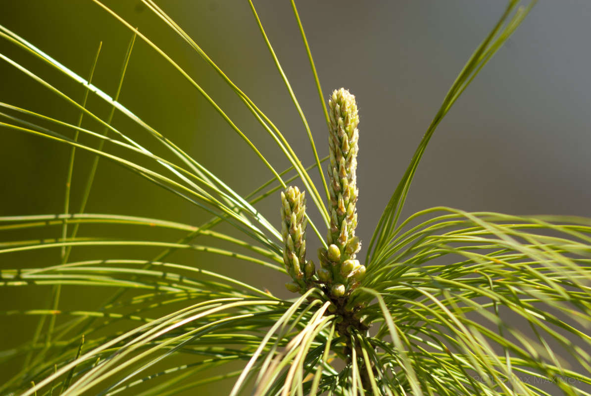 ����-����� 3.0 ����� ����  �� PhotoGeek.ru #����� #������ ��� ������� #����� �������������� #��������� #����� ��������