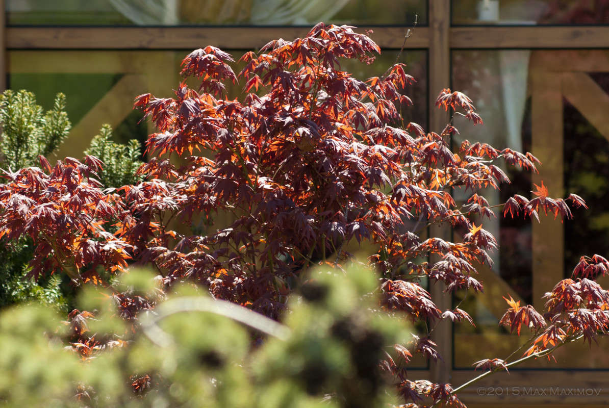 ... ����� ����  �� PhotoGeek.ru #������ ��� ������� #����� �������������� #��������� #����� ��������