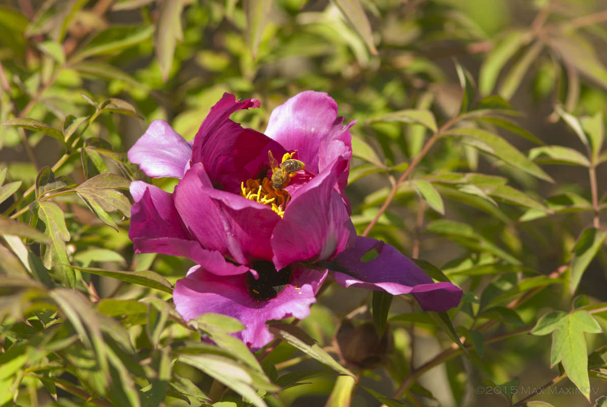 � ������� � ������ ��� ���������� ����� ����� ����  �� PhotoGeek.ru #����� #������ ��� ������� #����� �������������� #���������