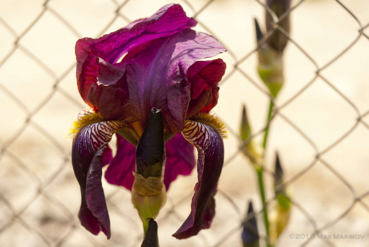 �������� ���������� V3.0 ����� ����  �� PhotoGeek.ru #����� #������ ��� ������� #����� ��������������