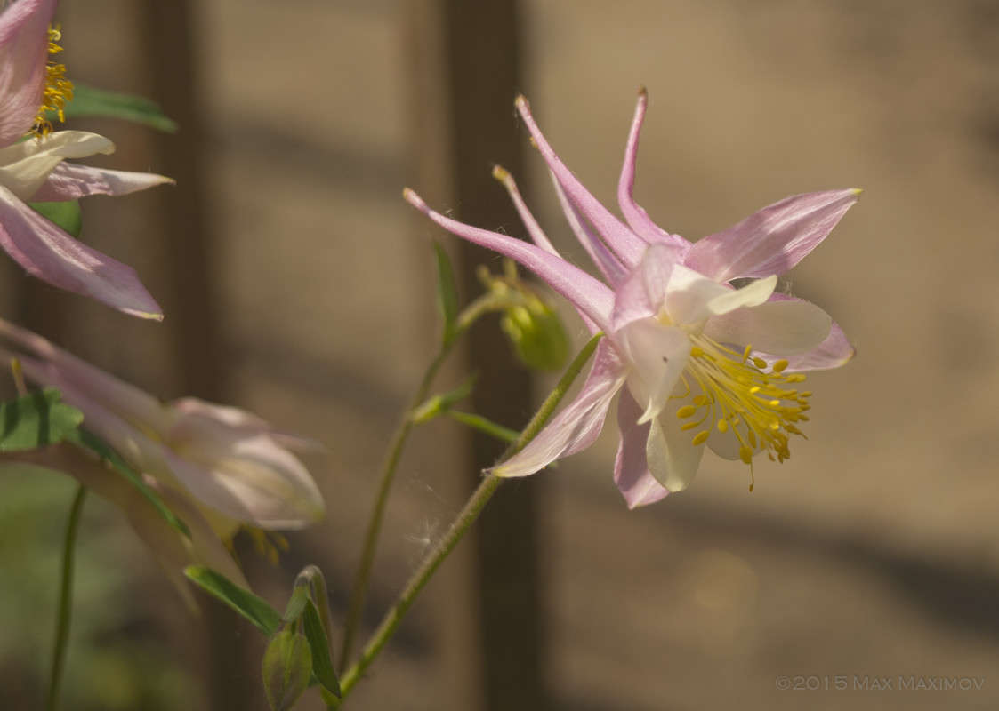 �������? ����� ����  �� PhotoGeek.ru #����� #������ ��� ������� #����� ��������������