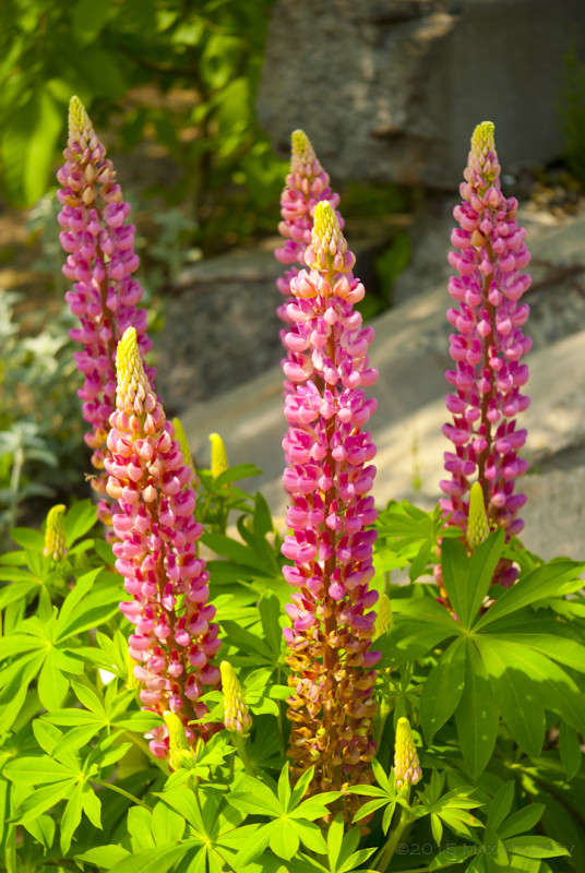 ����� ����, ����� ������! ����� ����  �� PhotoGeek.ru #������ ��� ������� #����� ��������������