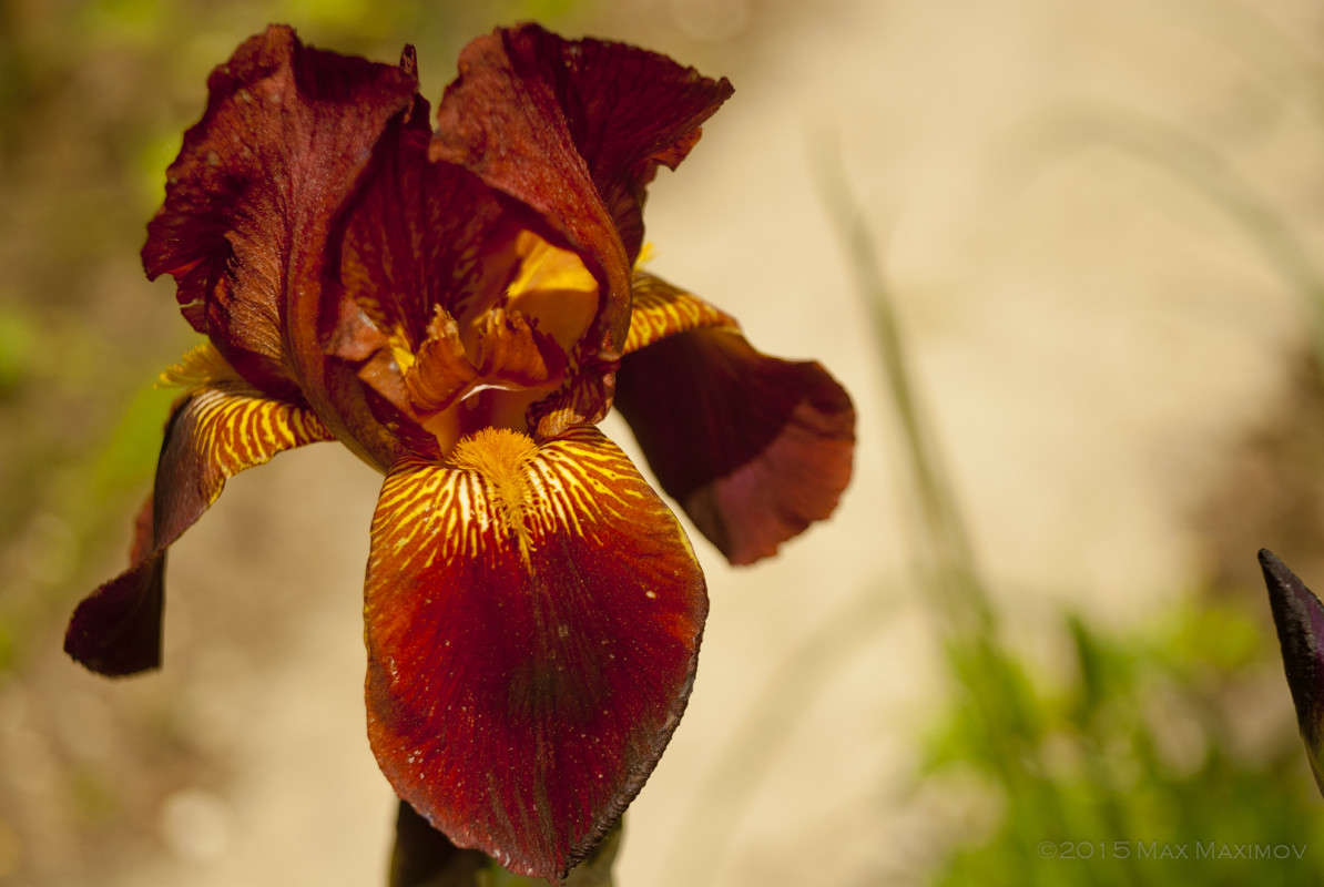 �������� ���������� ����� ����  �� PhotoGeek.ru #����� #������ ��� ������� #����� ��������������