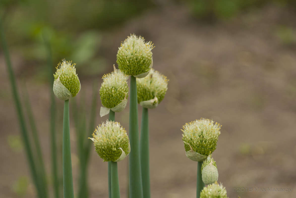 Look! ����� ����  �� PhotoGeek.ru #������ ��� ������� #����� ��������������