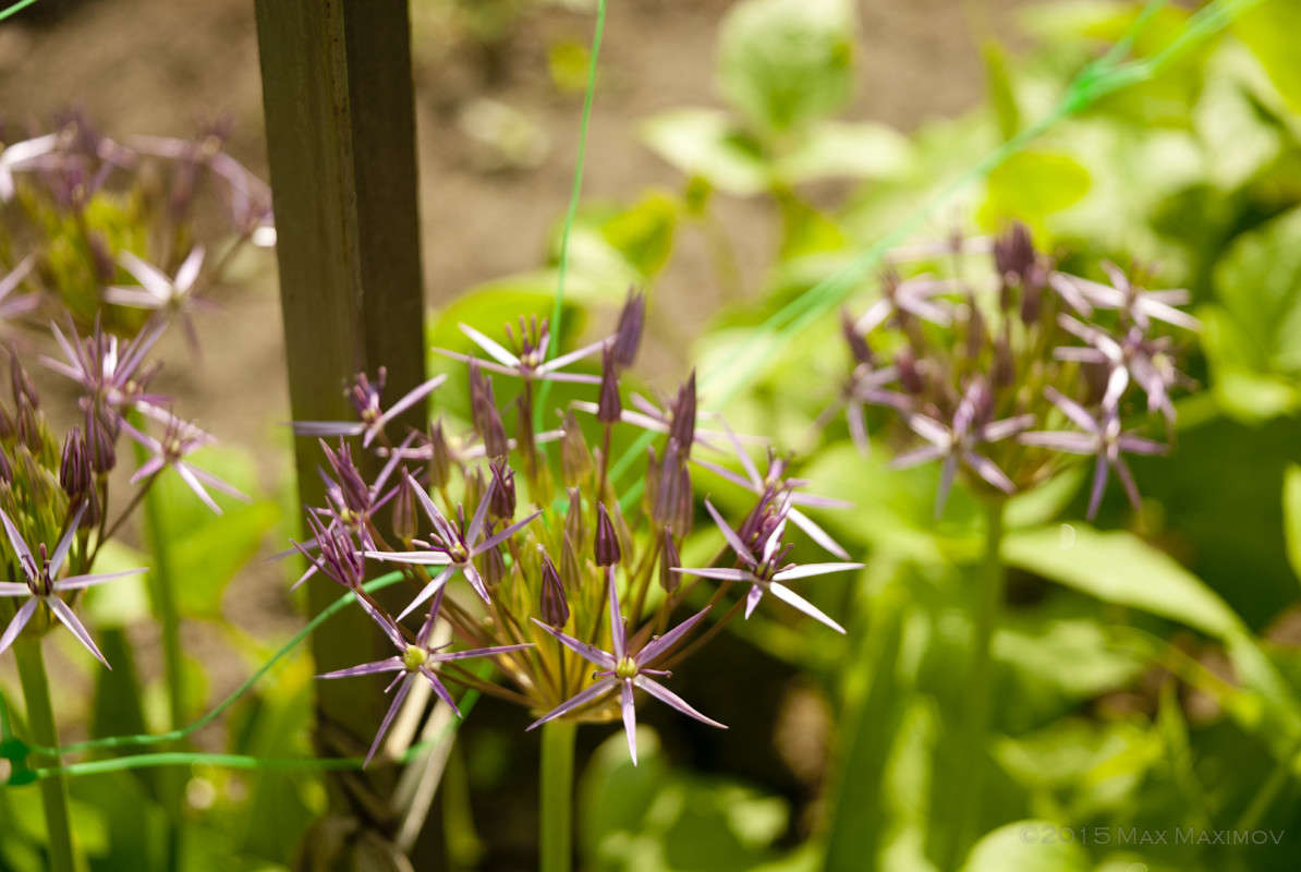 ### ����� ����  �� PhotoGeek.ru #������ ��� ������� #����� ��������������