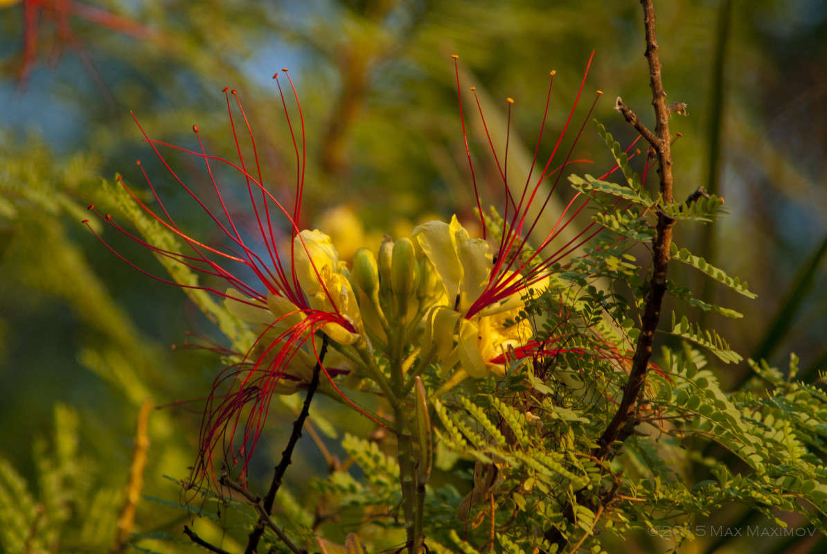 !!! ����� ����  �� PhotoGeek.ru #������ ��� ������� #����� ��������������