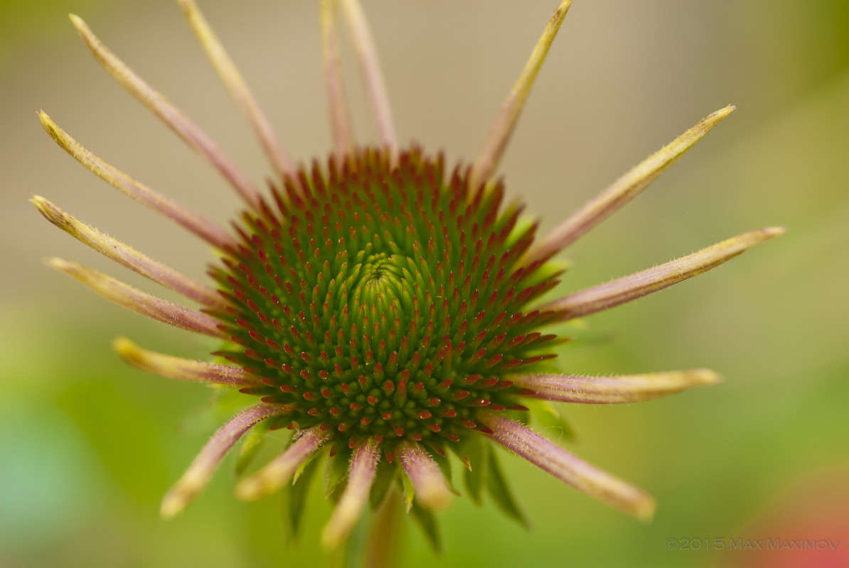 ��������� ���������� 03 ����� ����  �� PhotoGeek.ru #����� #������ ��� ������� #����� ��������������